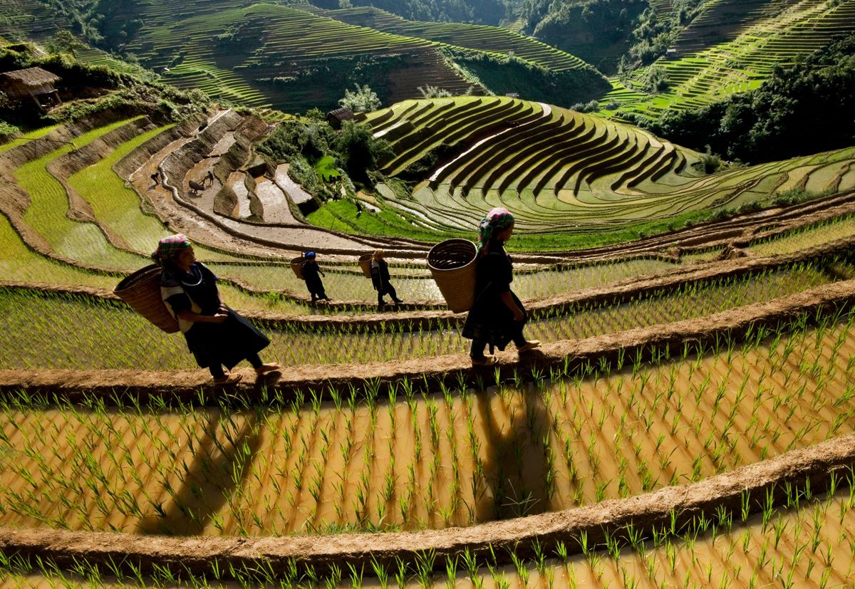 Authentic Vietnam Exploration